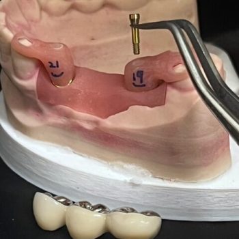 verification jig for bridge